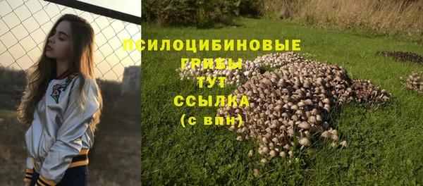 MDMA Михайлов