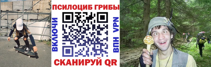 даркнет сайт  Никольское  Псилоцибиновые грибы мухоморы 